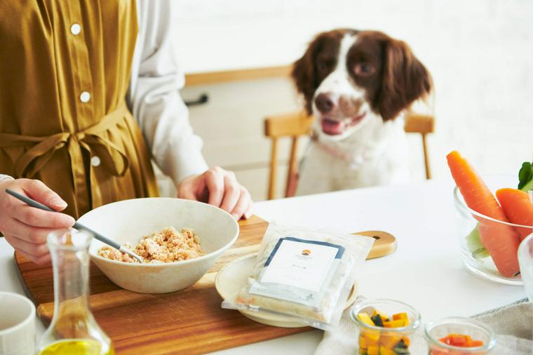 【PETOKOTO FOODSサービスガイド】愛犬の健康と楽しい毎日を一生涯サポートします！